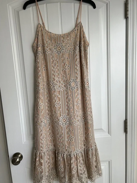 Anthropologie Beige Dress with White Lace Overlay - Picture 1 of 7